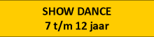 Vakje op website - Show Dance